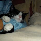 Abbracciati con Kajika