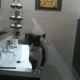 Aisha che ci fai lì? 2