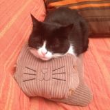 Aisha e il suo nuovo amico