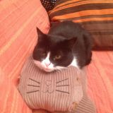 Aisha e il suo nuovo amico 2