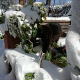 Omar e la neve 5