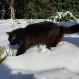 Omar e la neve 7