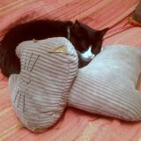 Aisha e il suo nuovo amico 3