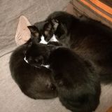 tutti insieme.. vicini vicini