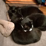 tutti insieme.. vicini vicini 2