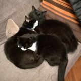 tutti insieme.. vicini vicini 3