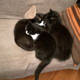 tutti insieme.. vicini vicini 4