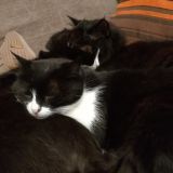 tutti insieme.. vicini vicini 5