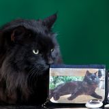 Omar e i sui gadget in vendita per beneficenza 3