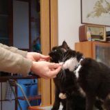 uhmm...buoni gli snack! 