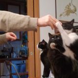 uhmm...buoni gli snack! 2