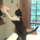 uhmm...buoni gli snack! 3