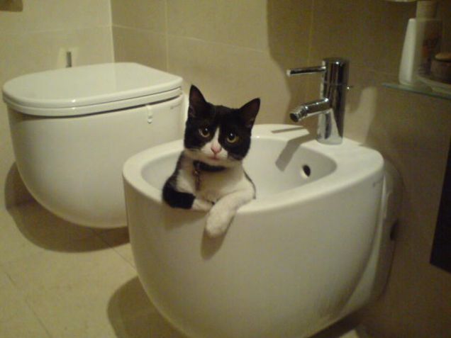 Aisha ha deciso di lavarsi