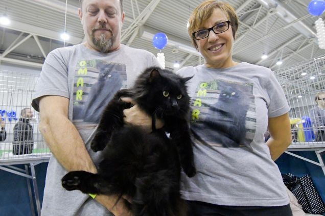 Omar al Supercat Show