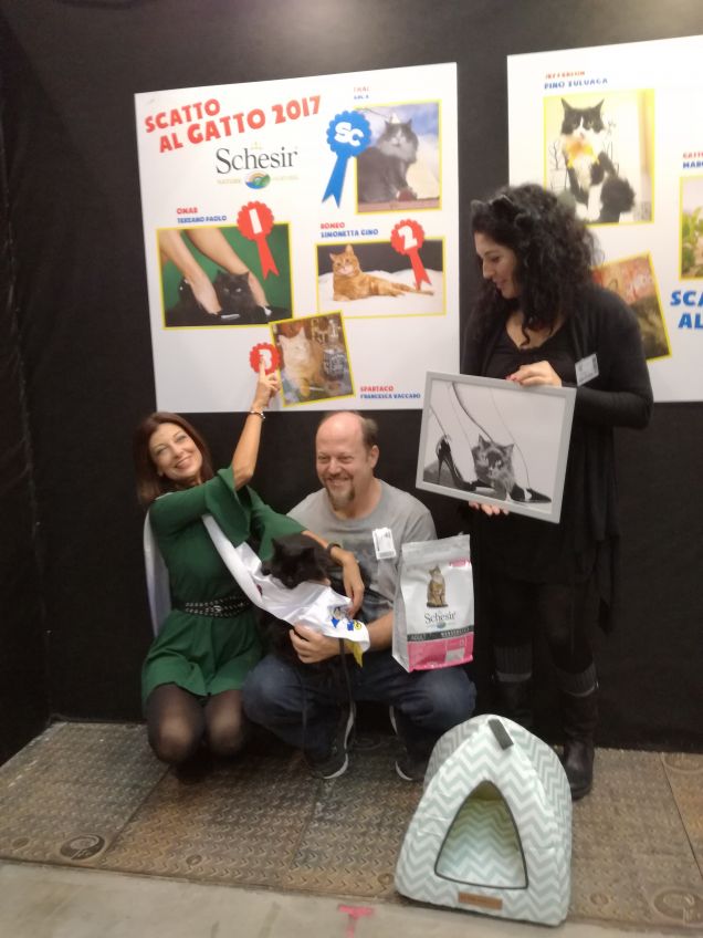 Omar al Supercat Show premiazione concorso fotografico 'scatto al gatto' 1°premio 4