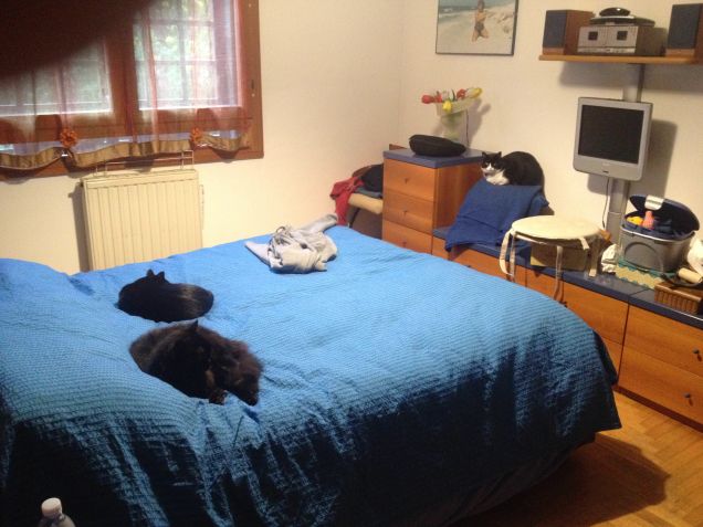 sintonia tutti e 3 vicini vicini 2