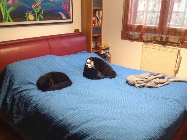 sintonia tutti e 3 vicini vicini 2