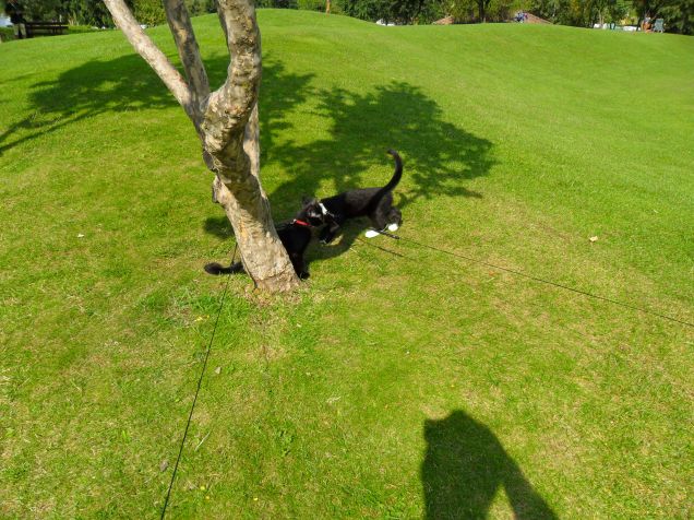 Omar e Kajika da piccoli