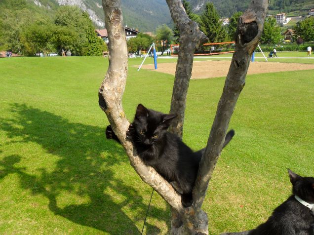 Omar e Kajika da piccoli