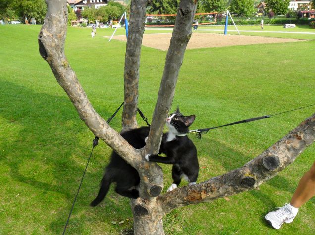 Omar e Kajika da piccoli