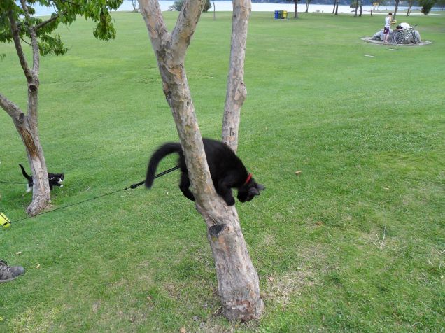 Omar e Kajika da piccoli