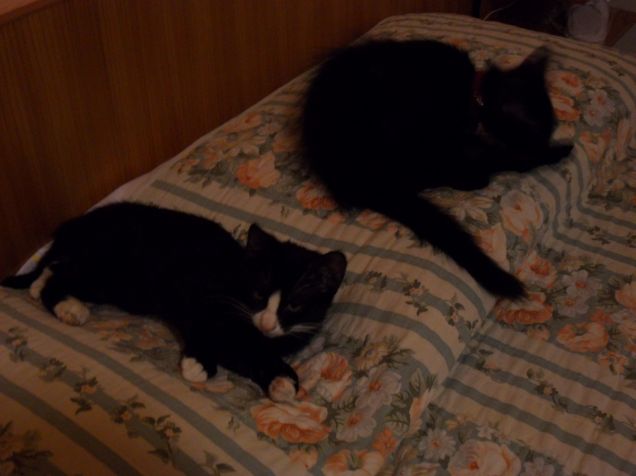 Omar e Kajika da piccoli