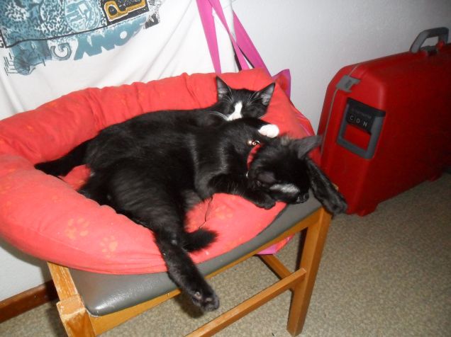 Omar e Kajika da piccoli