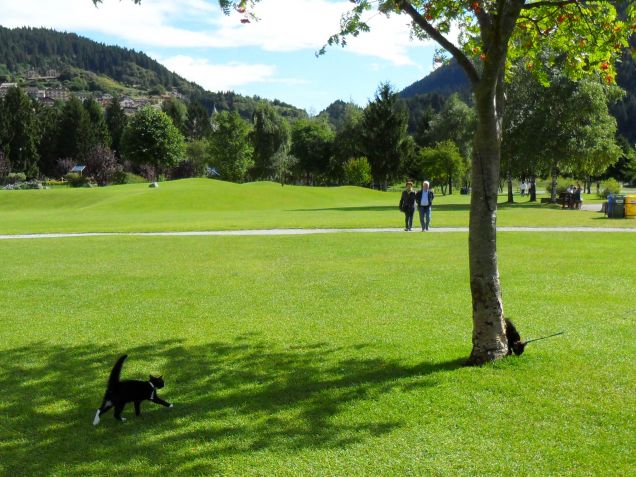 Omar e Kajika da piccoli