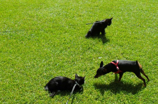 Omar e Kajika da piccoli