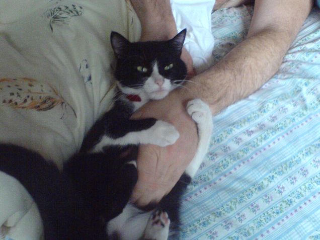 l'abbraccio di Aisha