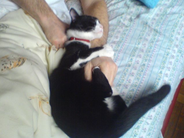 l'abbraccio di Aisha