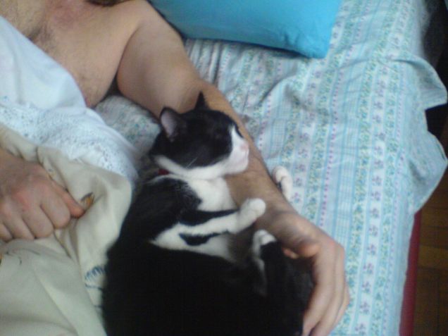 l'abbraccio di Aisha