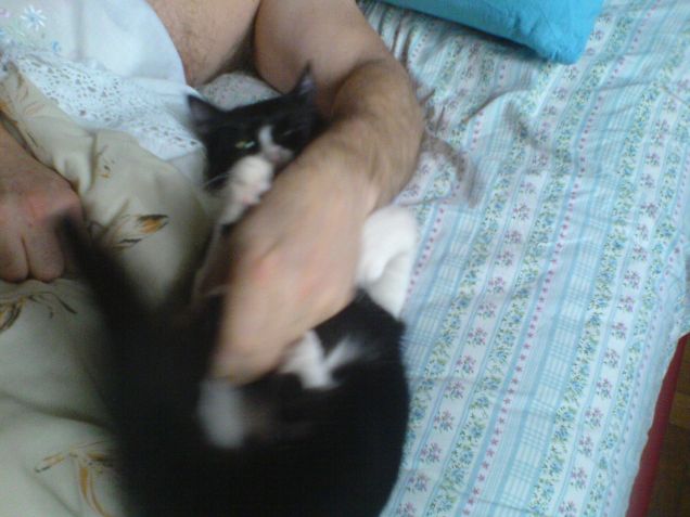 l'abbraccio di Aisha