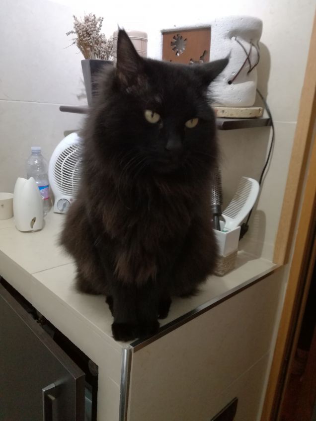 Omar ...che ci fai in bagno?