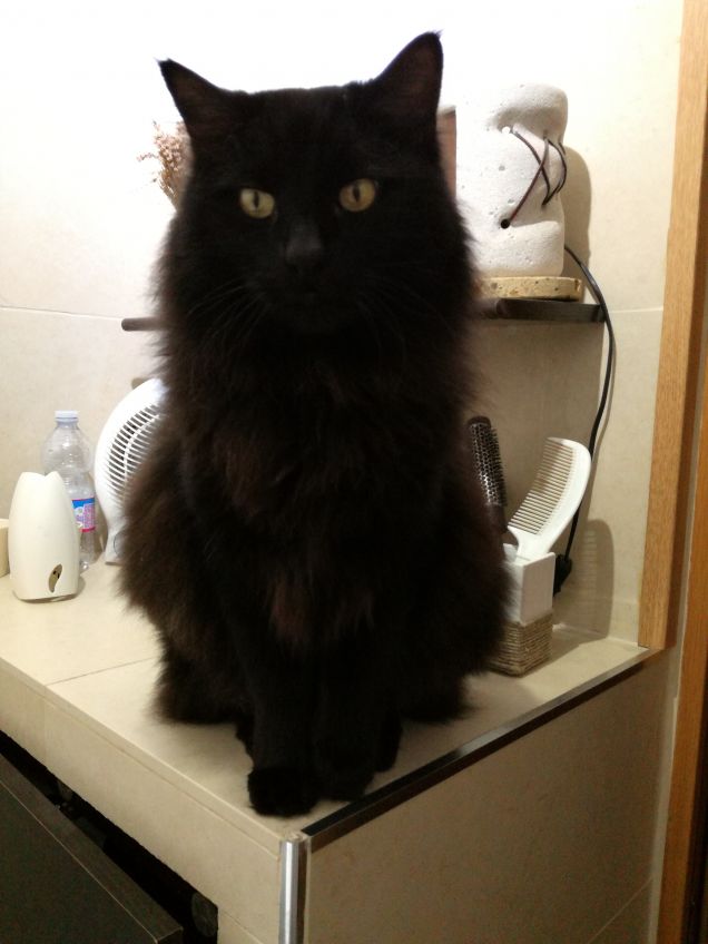 Omar ...che ci fai in bagno?