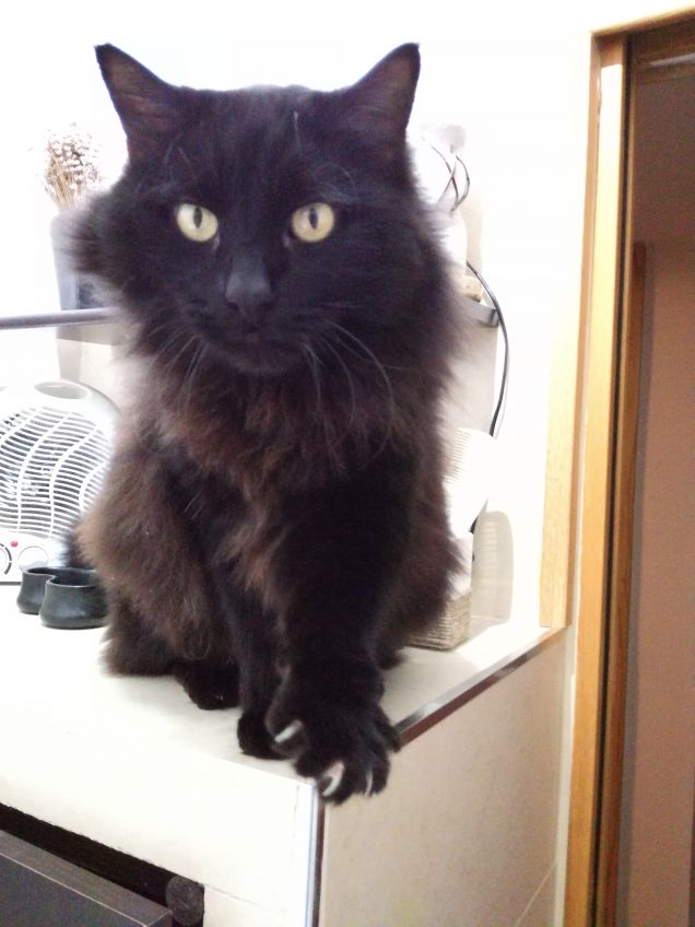 Omar ...che ci fai in bagno?