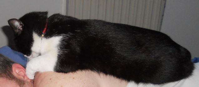 Aisha ....ma ti pare normale?