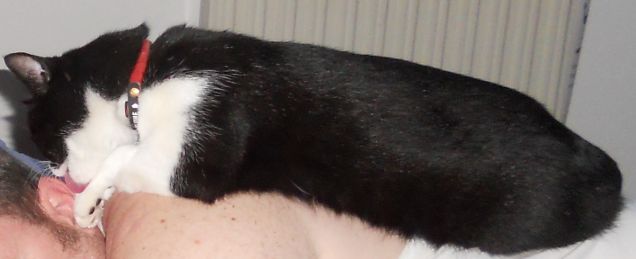 Aisha ....ma ti pare normale?