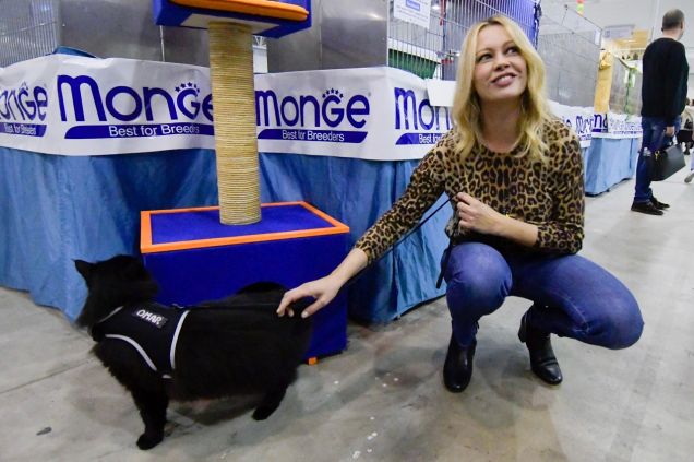 Omar e Anna Falchi al Supercat Show