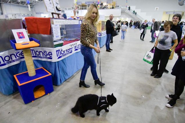 A spasso con Anna Falchi