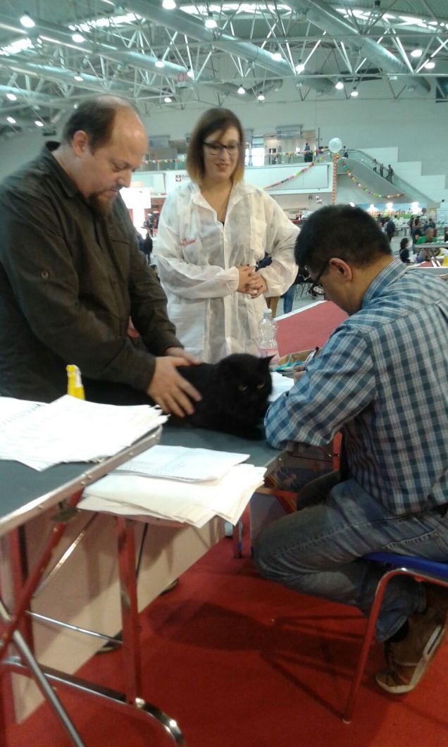 Omar in concorso dai giudici