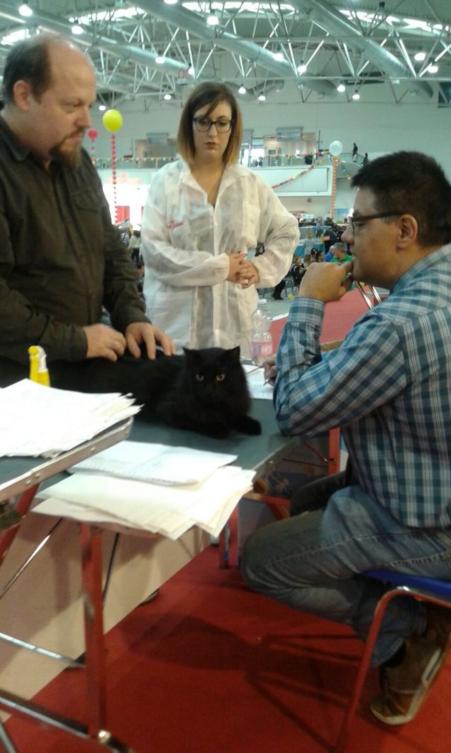 Omar in concorso dai giudici