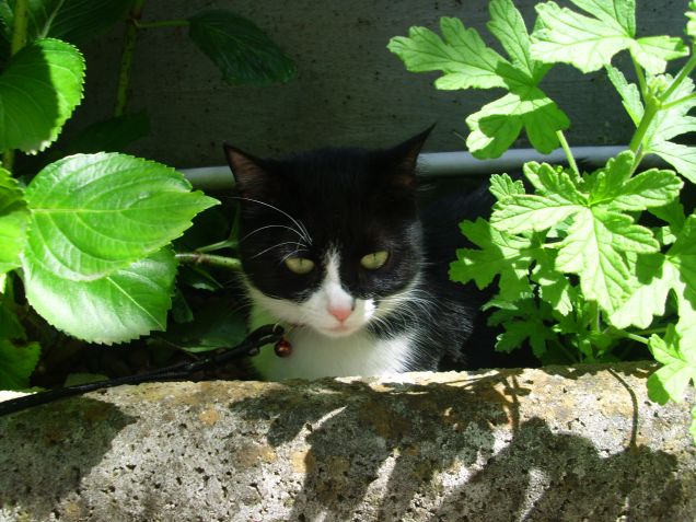 Aisha in giardino