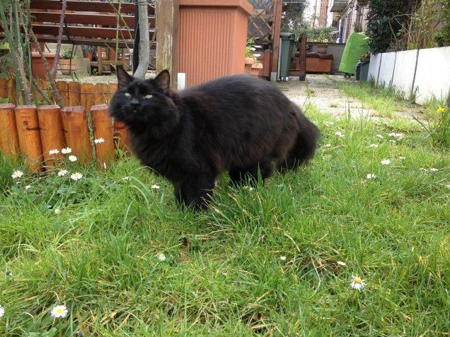 Omar in giardino