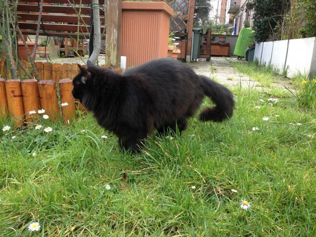 Omar in giardino