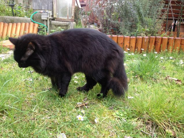 Omar in giardino