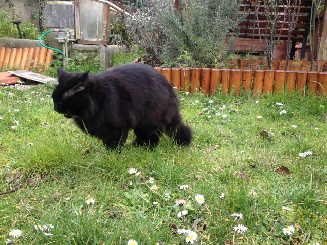 Omar in giardino