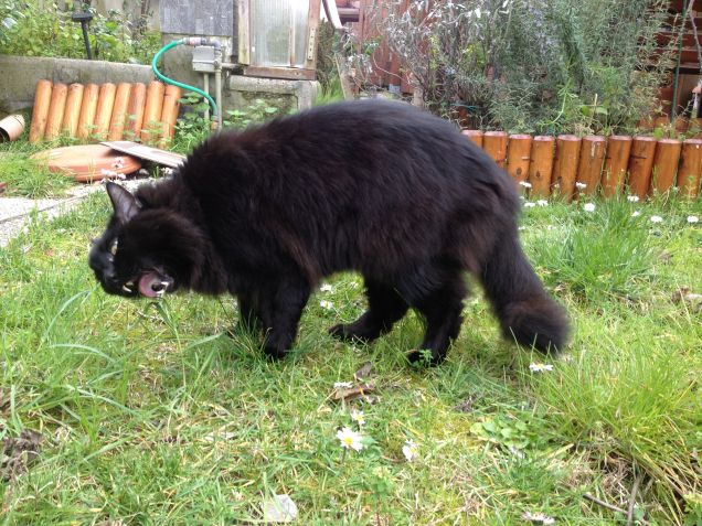 Omar in giardino