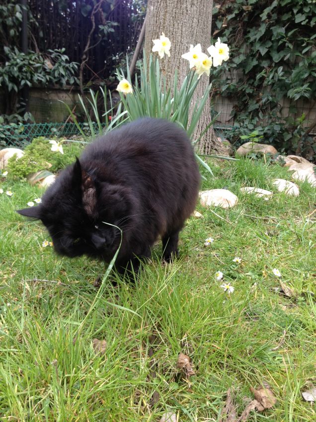 Omar in giardino