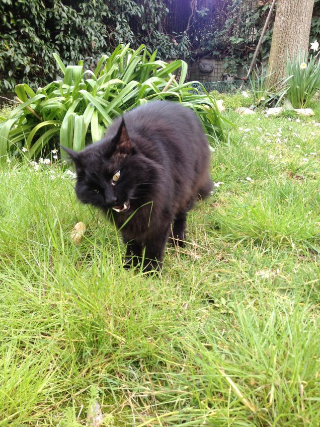 Omar in giardino